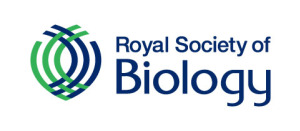 BBO_logo1.jpg